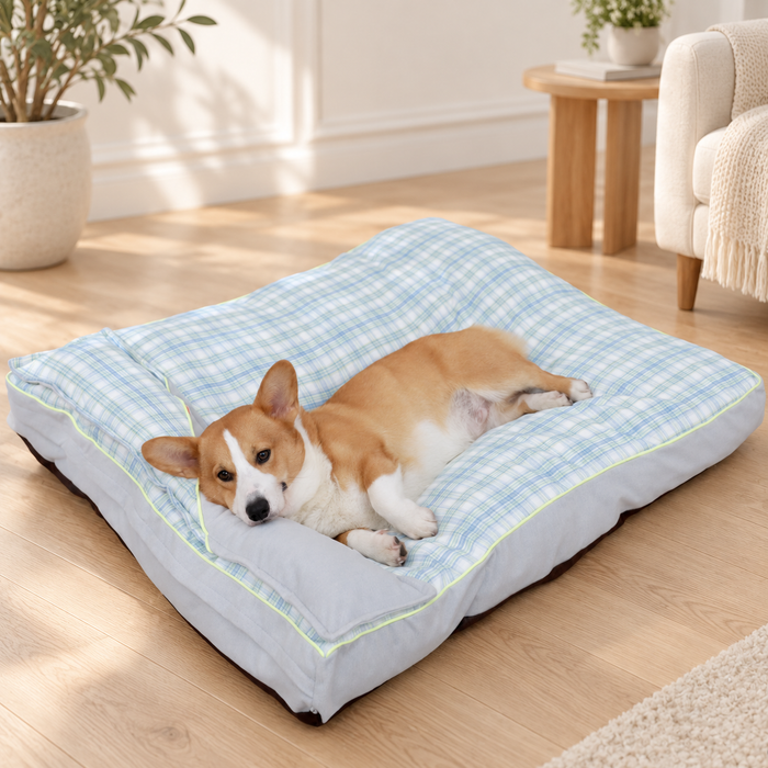 Pale blue plaid pet bed with a resting corgi on a light oak floor