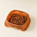 Orange pet bowl with raised interior shapes and kibble on an ivory surface.